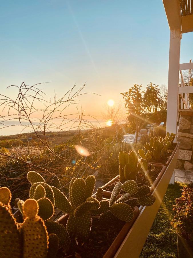 Residenza B&B Vistamare Petacciato Εξωτερικό φωτογραφία