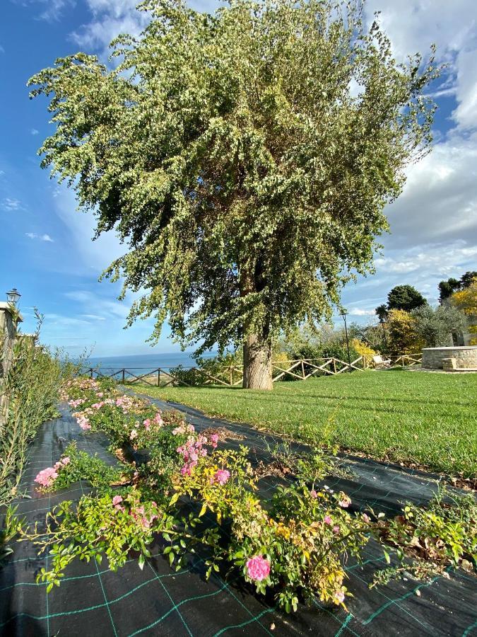 Residenza B&B Vistamare Petacciato Εξωτερικό φωτογραφία