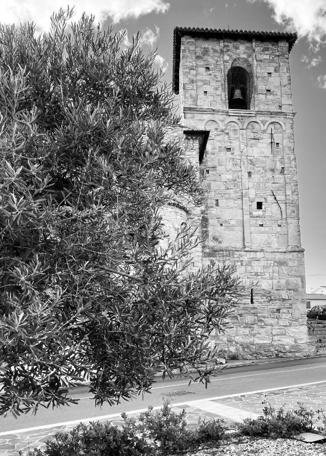 Residenza B&B Vistamare Petacciato Εξωτερικό φωτογραφία